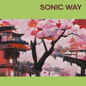 Sonic Way