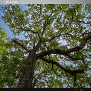 Strike That, Reverse It