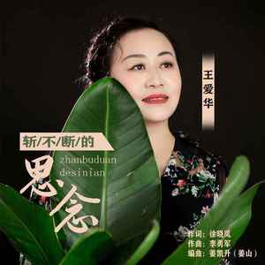 斩不断的相思 (DJ默涵版)