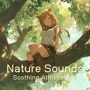 睡眠用ヒーリングミュージック ゆったりとしたギターの音で爆睡 (自律神経を整える睡眠用 森 鳥)