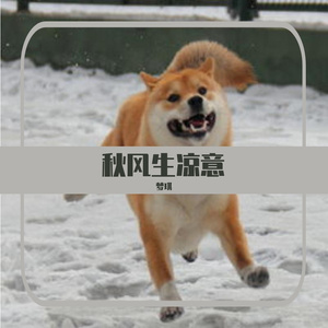 热爱可迎万难 (DJ原版)