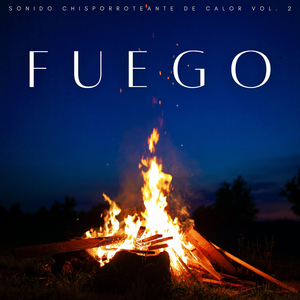 Fuego En La Noche