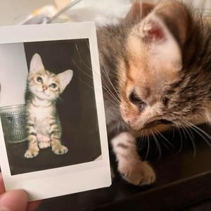 到时再爱我(只怕幸福眼看完整)