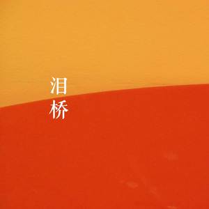 泪桥 (纯净女声版)