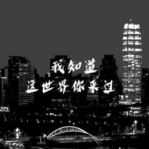 《我知道这世界你来过》DEMO