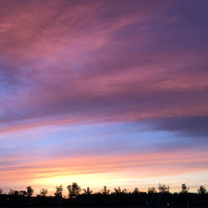 月亮代表我的心