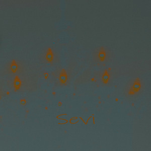 Sevi (Original Mix)