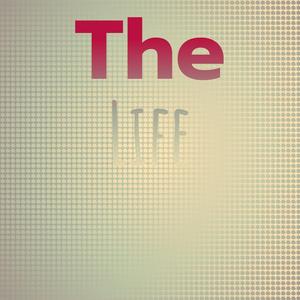 I’m in love with you