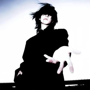 要飞呀飞到那山那边