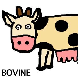 Bovine
