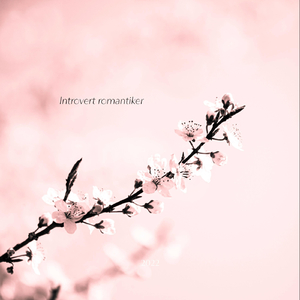 När dimman lättade såg vi våra misstag