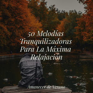 Lamentando Solo en el Crepúsculo