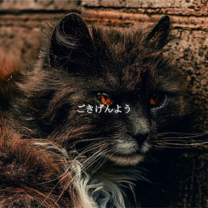 Background for Smooth Sundays