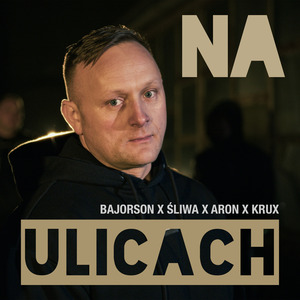 Na ulicach