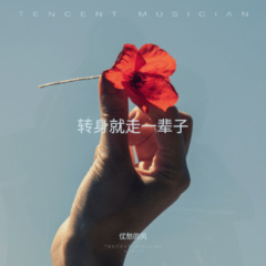 转身就是一辈子DJ