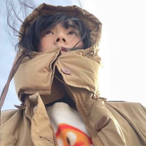 海鸥是自由的信使