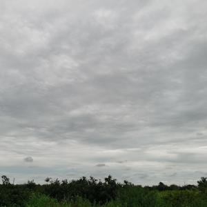 姑娘可 曾见过我