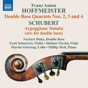 Double Bass Quartet No. 2 in D Major:I. Allegro moderato
