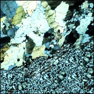 Robert the Fifth (acoustic demo)