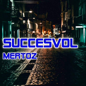 Succesvol (2020)