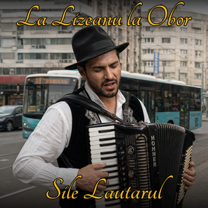 La Lizeanu La Obor