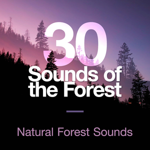 Wind Through the Backwoods