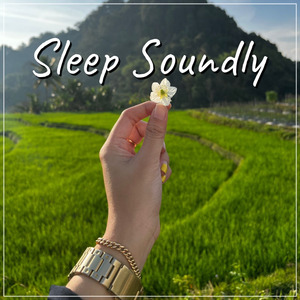 Sleep Soundly