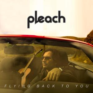 Flying Back to You