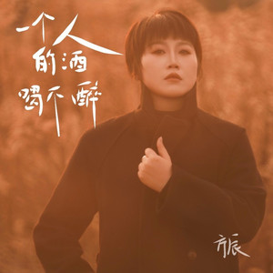 一个人的酒喝不醉