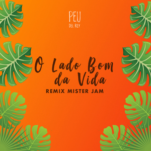O Lado Bom da Vida (Remix Mister Jam)