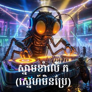 ទុកក្រមុំឱ្យម៉ែមើល រីមិច