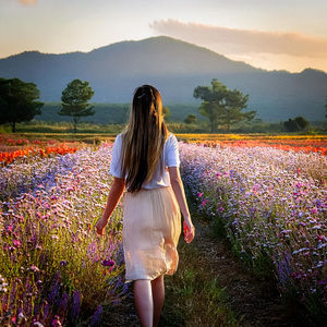 Melodías Curativas Para Aliviar El Estrés