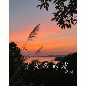 未完成的诗