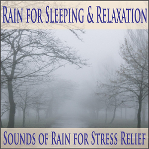 60 Minutes of Rain for Stress Relief