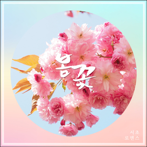 봄꽃