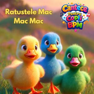 Ratustele Mac Mac Mac
