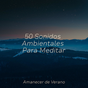 El Lienzo en Blanco del Cielo