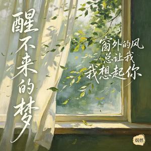 醒不来的梦（窗外的风总让我想起你）