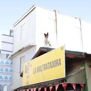 Malianteo (demo version )