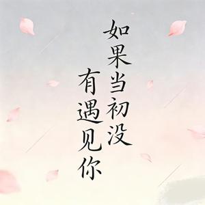 如果当初没有遇见你