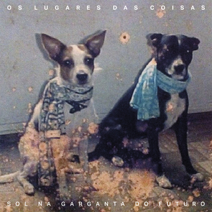 A Multidão Segue