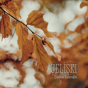 Çelişki
