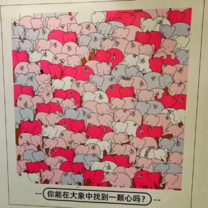 皆非（清新女版）