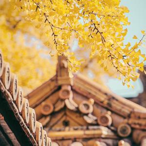 武家坡2021（王氏宝钏）