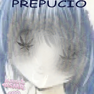 Prepucio