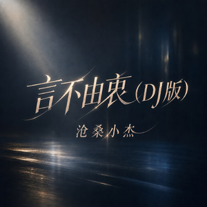 言不由衷(DJ版)
