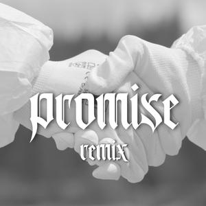 Promise (feat. REEVAH) (Remix) (Remix)