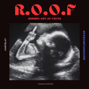 R.O.O.F (feat. assur)