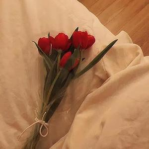 致你：所爱（Cover：王北车）