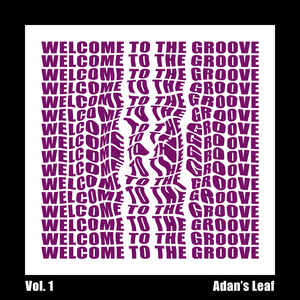 Welcome To The Groove